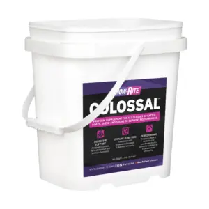 colossal 3.5lb by show rite