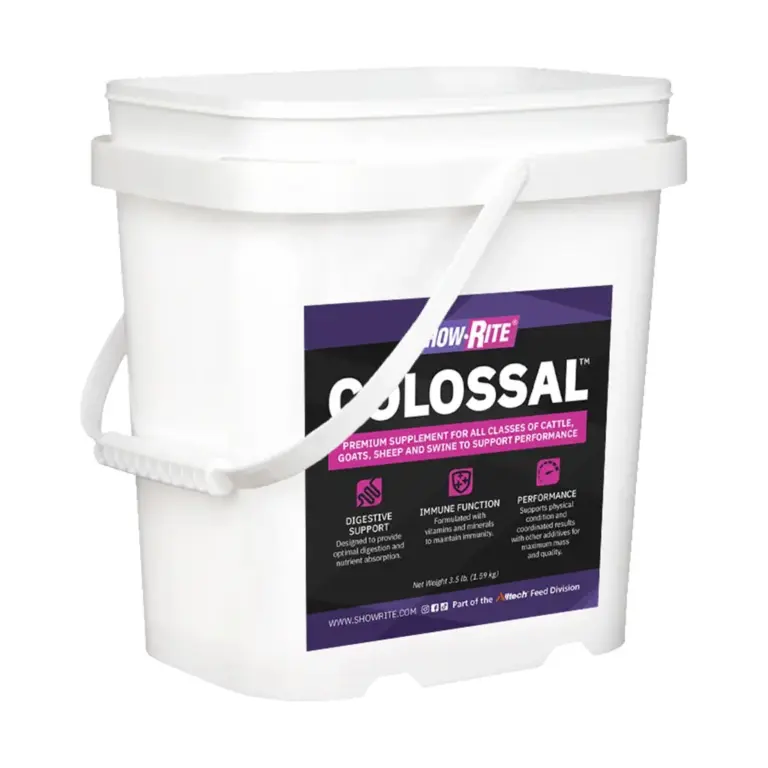 colossal 3.5lb by show rite