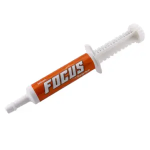 focus paste, 30cc
