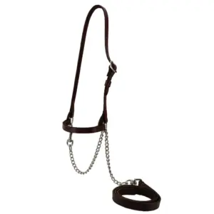 dairy halter brown