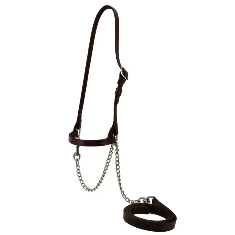 dairy halter brown