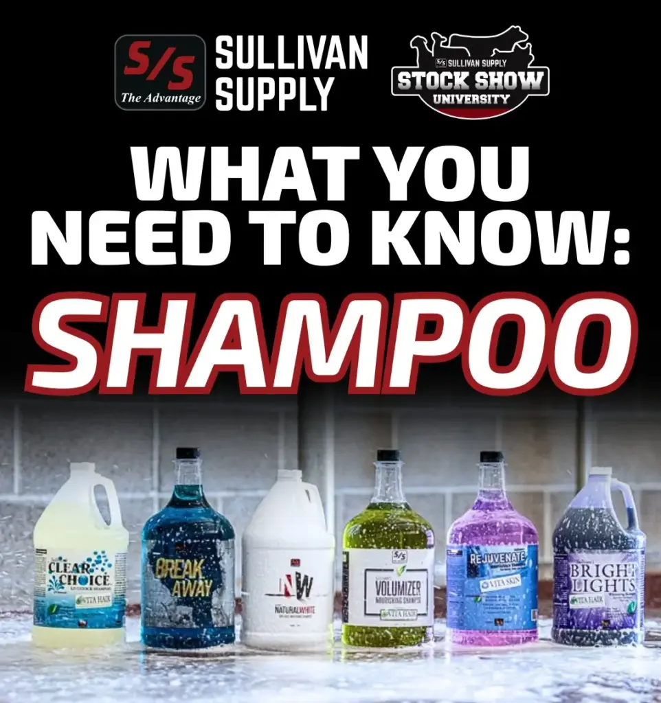 facebook shampoo (1)