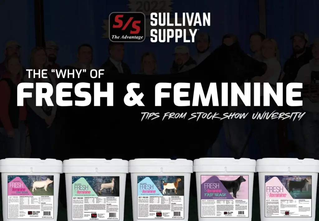 the why of fresh feminine
