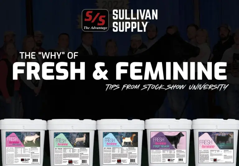 the why of fresh feminine