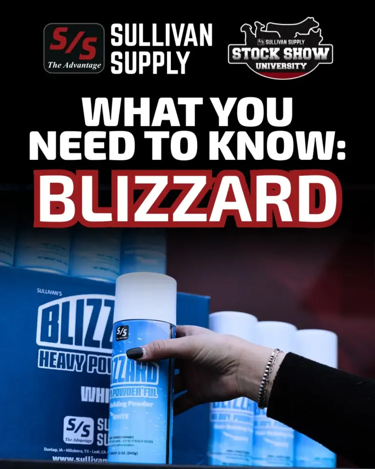 what you need to know blizzard (1)