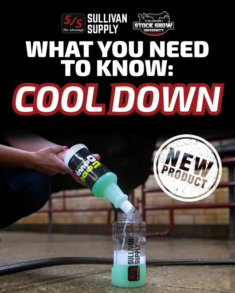 what you need to know cool down