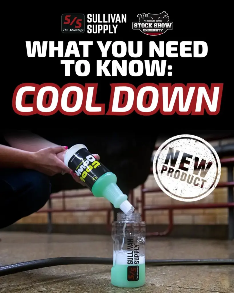what you need to know cool down