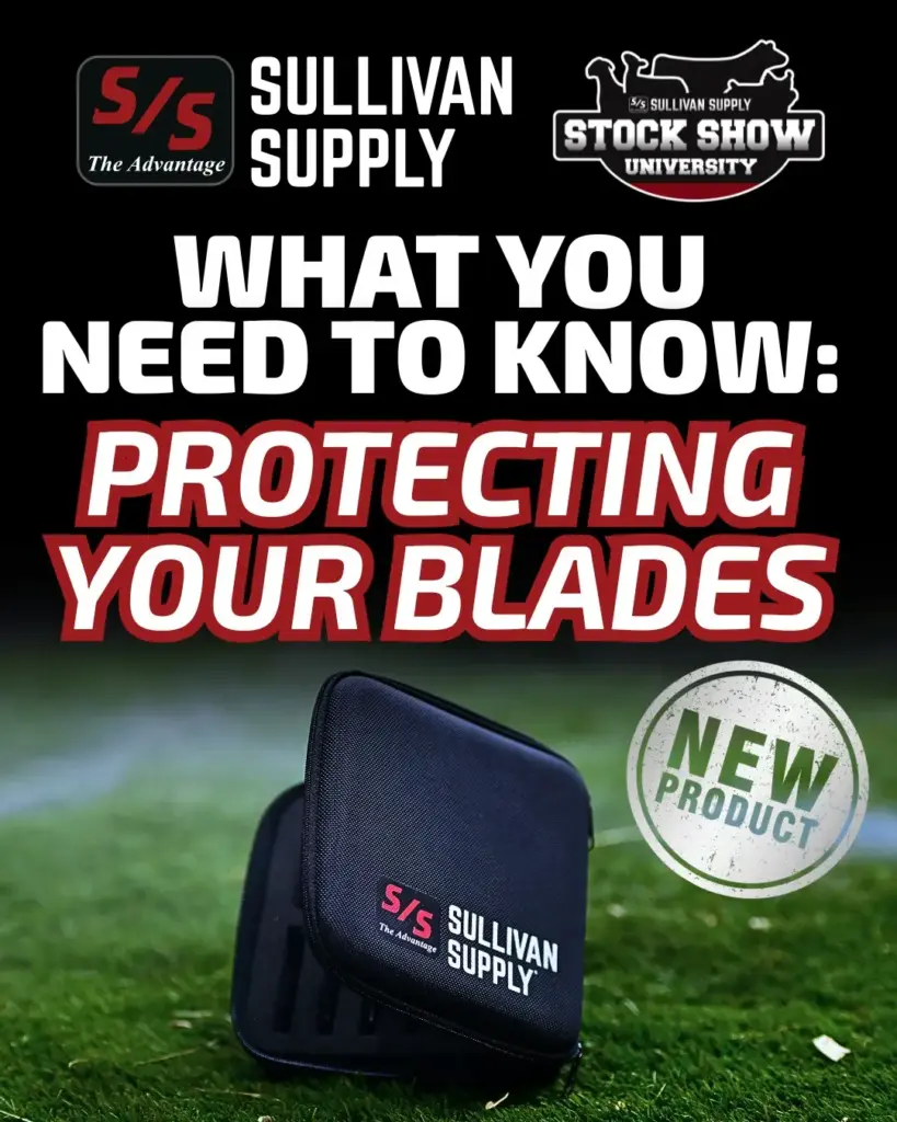 what you need to know protecting your blades (1)